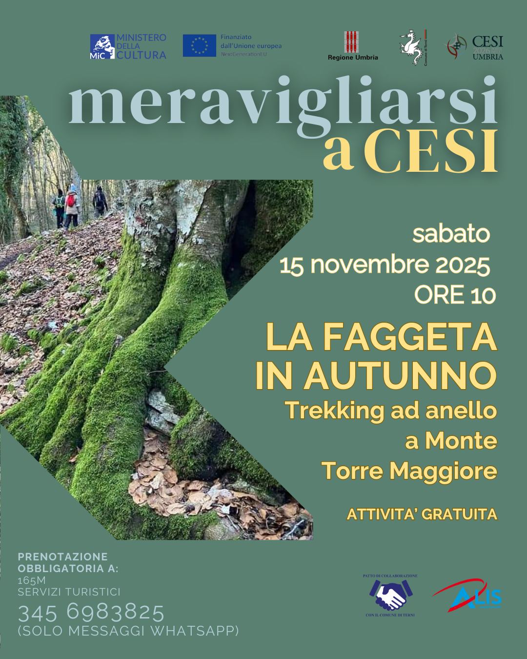 Passeggiata in faggeta