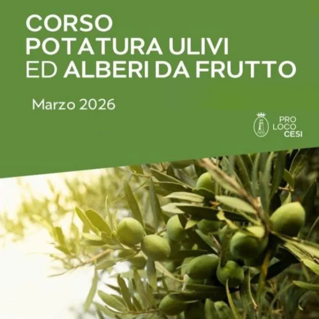 Corso di potatura di ulivi e alberi da frutto