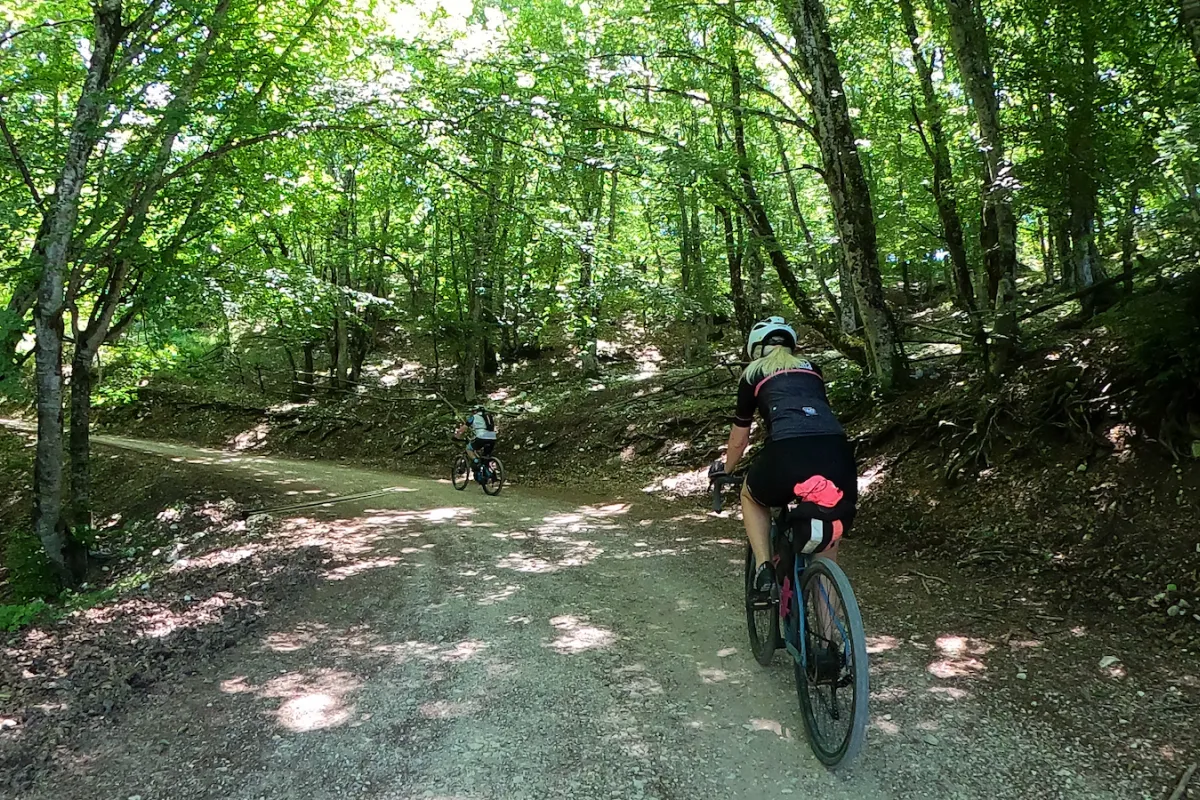 Tour delle Terre Arnolfe in MTB