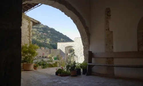 Il futuro ha radici antiche
