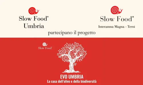 Evo Umbria - La casa dell'olivo e della biodiversità