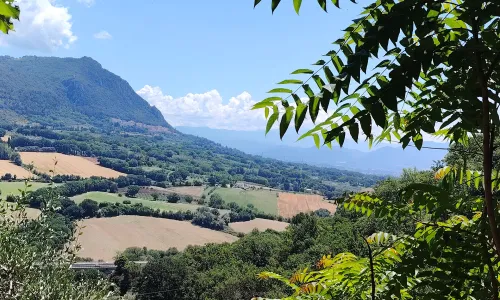 Le Terre Arnolfe